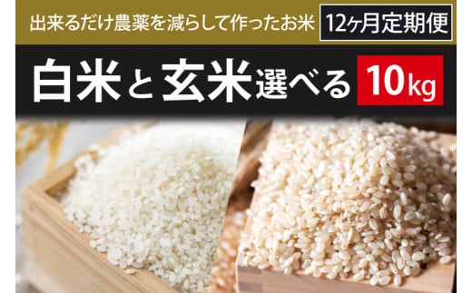 BI-86 12ヶ月定期便【できるだけ農薬を減らして作ったお米】白米または玄米　10kg×12回