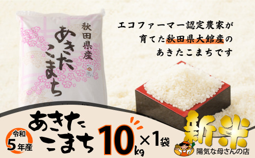 新米 令和5年産 あきたこまち 秋田県産「仙人米」白米 20kg（10kg×2袋