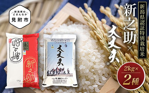 令和5年産 新潟県 特別栽培米 「新之助」＆コシヒカリ 「大丈夫」 精米