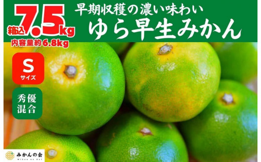 混合  10キロ  幸水