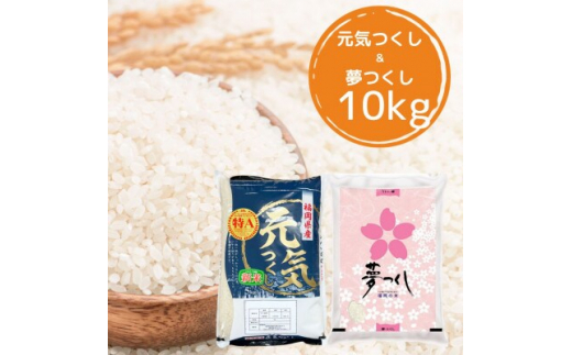 令和5年産＞福岡県産米食べ比べ＜白米＞「夢つくし」と「元気