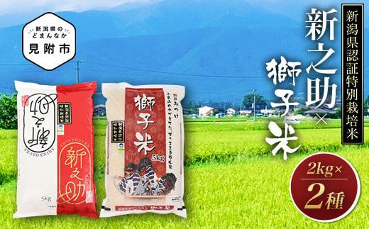新潟 特別栽培米 令和5年産 食べくらべセ