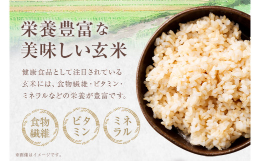 令和6年産新米コシヒカリ玄米10kg（１袋）【先行予約/令和6年8月発送予定】お米 健康食品【R00325】