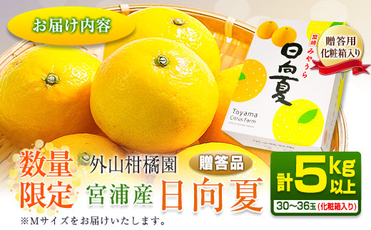 ≪数量限定≫宮浦産日向夏(計5kg以上)　フルーツ　果物　柑橘　みかん　国産 BA55-23