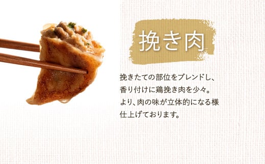 餐我(さんが) 肉汁餃子 計96個 (約18g×24個×4袋)