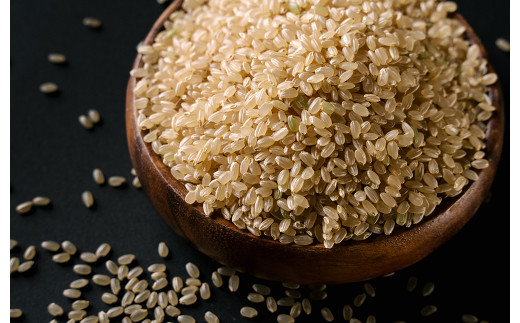 特Aひとめぼれ米 残留農薬ゼロ 発芽玄米 1.5kg×2袋(3.0kg) 
