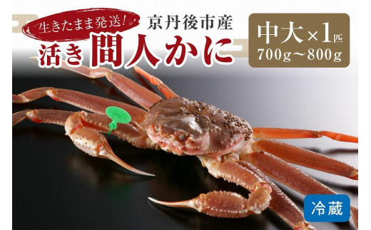 かに卸し問屋がお届け・浜競り厳選！幻の活間人ガニ 700ｇ～800ｇ 中大サイズ（11月発送）／北畿水産　松葉ガニ 松葉蟹 松葉がに 松葉かに ズワイガニ 活ガニ 生ガニ 活きたまま 活き　HK00224