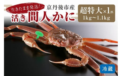 【11月発送】最高鮮度の生きたまま発送！京丹後市産活間人かに　1kg～1.1kg超特大サイズ/北畿水産　松葉ガニ 松葉蟹 松葉がに 松葉かに  ズワイガニ 活ガニ 生ガニ 活きたまま 活き　HK00179|北畿水産