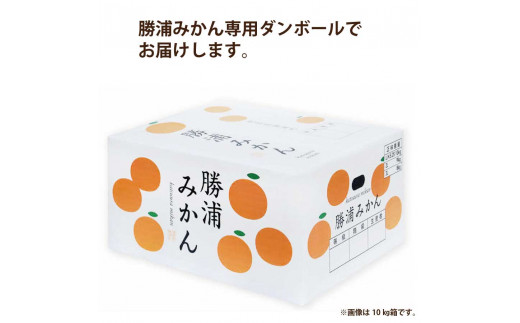 長田農園 早生みかん 秀品 Sサイズ 10kg - 徳島県勝浦町｜ふるさと