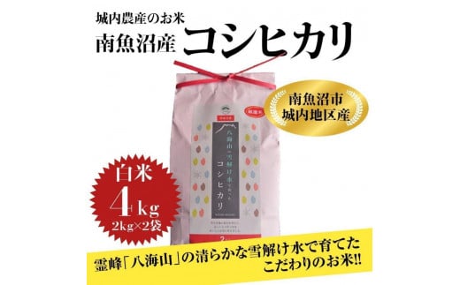 【令和5年産 】新潟県 南魚沼産 コシヒカリ お米 こしひかり 精米 白米 のし 贈り物  熨斗 贈答用 令和5年産 城内農産 特A地区米 4kg(2kg×2袋) 467439 - 新潟県南魚沼市