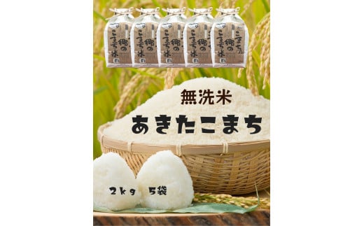 【令和5年産米】特別栽培米 こまちの郷のこまち米 無洗米 2kg×5袋[B7-12401]