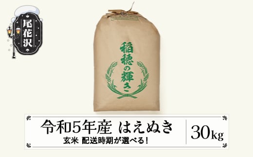 米 30kg はえぬき 玄米 令和5年産 2023年産 山形県尾花沢市産 kb-hagxa30