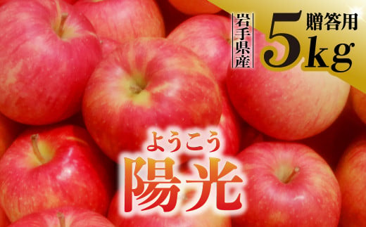 【先行予約】令和6年産 りんご 陽光 ようこう 贈答用 5kg 岩手県 金ケ崎町産【令和6年10月上旬から順次発送】 1099664 - 岩手県金ケ崎町