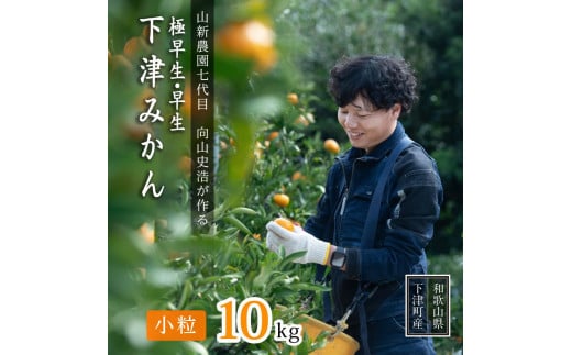 極早生 or 早生みかん約10kg 小粒SS・Sサイズおまかせ《秀品》 和歌山県産 山新農園 農園直送 まごころ産直みかん［北海道・沖縄県・一部離島 配送不可］ SSサイズ 2S 小玉 蜜柑 果物