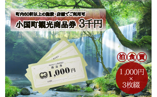 小国町観光商品券（1,000円×3枚）です。