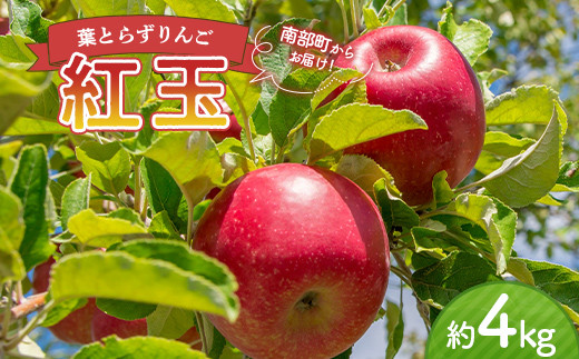 葉とらずりんご 紅玉 約4kg 【四戸農園】 青森県エコファーマー認定 減