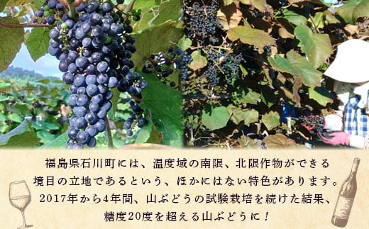 山葡萄ワイン甘口720ml【09011】