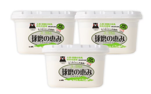 【6ヶ月定期便】球磨の恵み ヨーグルト 砂糖不使用 1kg×3パック×6回 合計18kg