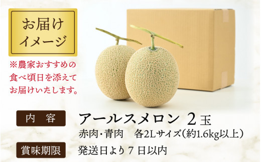 アールスメロン 食べ比べ2玉（約1.6kg以上×2玉）青肉、赤肉品種 高級メロン！ ／ マスクメロン 大玉 果物 フルーツ 夏 ギフト 農家直送 -  福井県あわら市｜ふるさとチョイス - ふるさと納税サイト