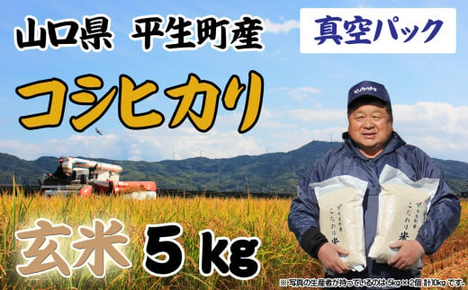 【真空パック】コシヒカリ 玄米 ５kg　令和5年産　a8-1 783023 - 山口県平生町