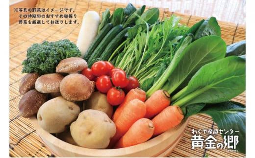 黄金の郷　季節のお野菜お楽しみBセット 1320369 - 宮城県涌谷町