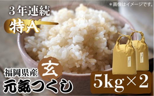 [先行予約]福岡県産[特A]評価のお米「元気つくし」5kg×2袋 [10kg] [玄米][2024年11月下旬以降順次発送][築上町][株式会社ベネフィス] [ABDF031] ご飯 ごはん 米 こめ コメ おにぎり 23000円