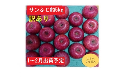 りんご 【1～2月発送】 訳あり 家庭用 百年木の香 三上農園 サンふじ 約 5kg 【 弘前市産 青森りんご 】 684483 - 青森県弘前市