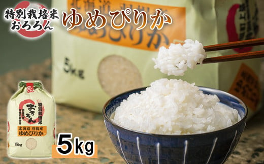 【令和5年産】北海道羽幌産　特別栽培米ゆめぴりか5kg【08116】
