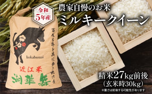 収穫したて☆ 令和４年度産コシヒカリ玄米30kg 岐阜県垂井町産のお米