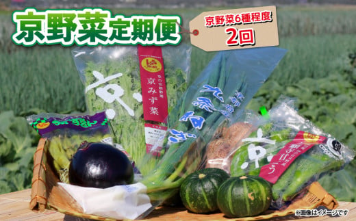 【 2回定期便 】 京野菜 野菜 6種 程度 定期便 2回 野菜 詰め合わせ 京都 野菜セット 季節 旬 栄養食 栄養野菜 九条ネギ 万願寺 賀茂なす 京都府産 数量限定 冷蔵 サラダ 健康 BBQ バーベキュー 健康食品 緑黄色野菜 美肌 美容 ふるさと納税 ギフト ギフト用 贈答 贈答用 贈答品 贈り物 お中元 お歳暮 サラダ 農家直送 産地直送 新鮮 人気 おすすめ リピーター 1115887 - 京都府京都府庁