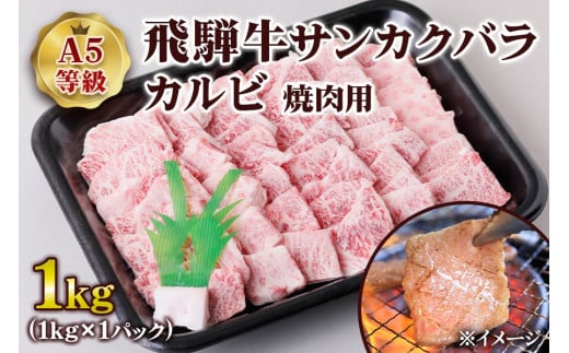[A5等級] 飛騨牛サンカクバラカルビ焼き肉用1kg [0861]
