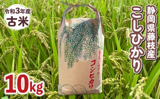 令和2年度 古米 静岡県産 コシヒカリ 30kg 玄米
