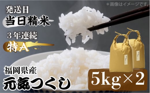 福岡県産【特A】評価のお米「元気つくし」5kg×2袋 [10kg] [白米]《築上町》【株式会社ベネフィス】 [ABDF030] 17000円  1101624 - 福岡県築上町