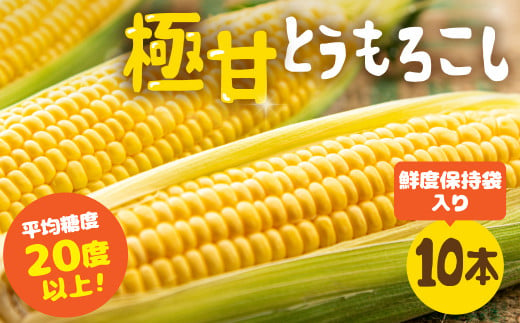 [夏採れお届け] 平均糖度20度以上 極甘とうもろこし 10本〜12本 鮮度保持袋入り 2025年先行予約