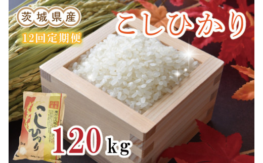 EN-9　【12ヶ月定期便】茨城県産コシヒカリ計120kg（10kg×12回）（令和5年産）※離島への配送不可