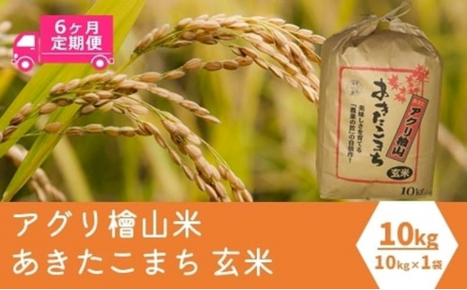 《定期便6ヶ月》【玄米】秋田県産 あきたこまち 10kg×6回 計60kg アグリ檜山米 令和5年産|農事組合法人 アグリ檜山