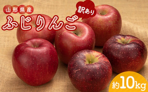 令和5年産 山形県産ふじりんご＜訳あり＞10kg 32玉～56玉 数量限定 FSY-0876 - 山形県｜ふるさとチョイス - ふるさと納税サイト