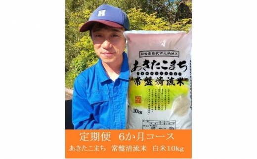 《定期便6ヶ月》【白米】秋田県産 あきたこまち 10kg×6回 計60kg 常盤清流米 令和5年産