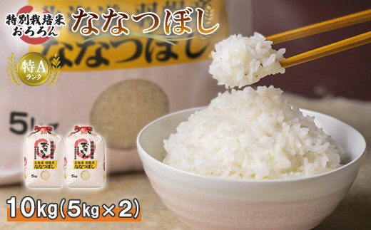 【令和5年産】北海道羽幌産　特別栽培米ななつぼし10kg（5kg×2セット）