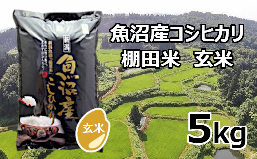 魚沼産コシヒカリ・棚田米　玄米5kg