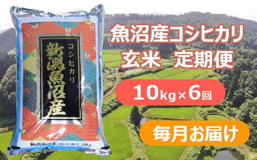魚沼産コシヒカリ・棚田米　玄米10kg