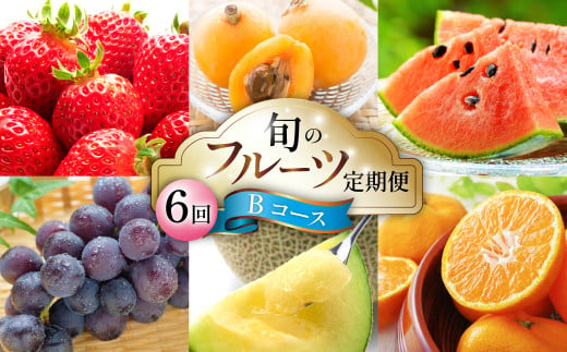 6回定期便 Bコース】フルーツ定期便 旬のフルーツセット / いちご ビワ