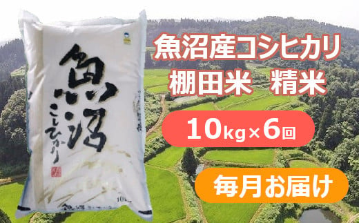 魚沼産コシヒカリ・棚田米　白米10kg