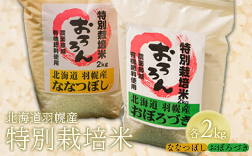 【令和5年産】北海道羽幌産　特別栽培米おぼろづき2kg・ななつぼし2kgセット
