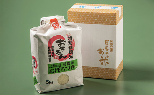 【令和5年産】【定期便：3回】令和5年産　北海道羽幌産特別栽培米おぼろづき5kg