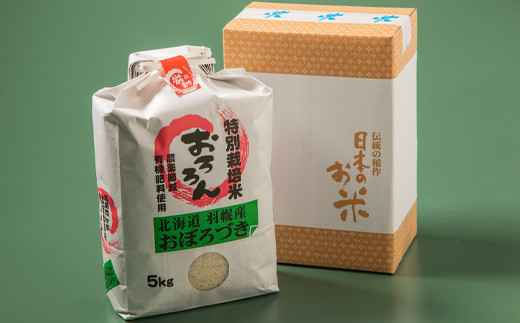 【令和5年産】【定期便：6回】令和5年産　北海道羽幌産特別栽培米おぼろづき5kg