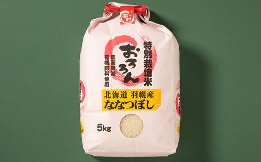 【令和5年産】【定期便：6回】令和5年産　北海道羽幌産特別栽培米ななつぼし5kg