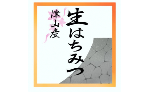 ＜30セット限定＞　自然が生んだスーパーフード　生はちみつ　200g×3本(津山産)【1441631】