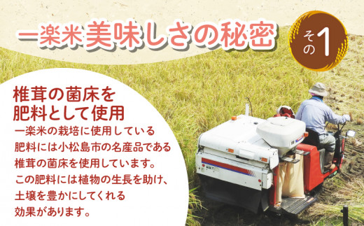 【特別栽培米・白米】 あいさい一楽米 5kg 令和5年度産 コシヒカリ 米 白米 精米