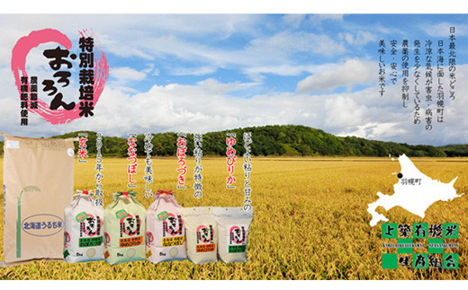 【令和5年産】【定期便：6回】令和5年産　北海道羽幌産特別栽培米おぼろづき5kg